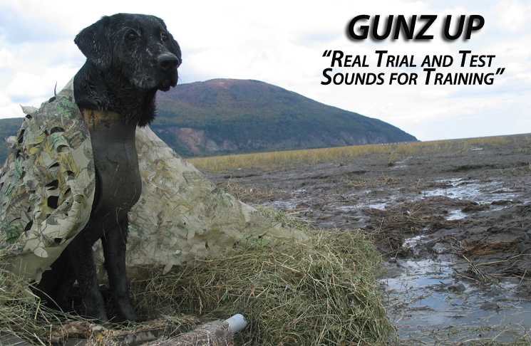 Gunz Up